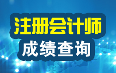 注册会计师考试成绩查询